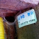빵구네 이미지
