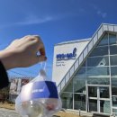 협재 바다의 선물 | 협재 카페 물 | 제주 용암해수로 만든 물젤리, 제주 디저트 선물 추천