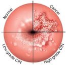 태을한의원 이미지