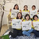 올리브트리스튜디오 이미지