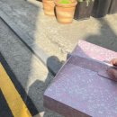 투올더드리머스 이미지