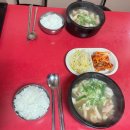 망원시장 맛집 | 풍자 또간집 나온 닭곰탕 맛집 혜성유통 찐단골 후기