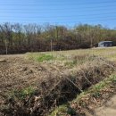 중원부동산중개사무소 이미지