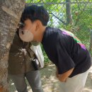 송운초등학교 이미지