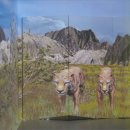 엠에이치소프트 이미지