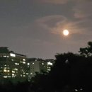 보름달행정사사무소 이미지