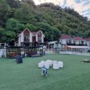 펫아일랜드2 이미지