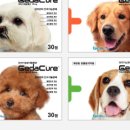 인지약국 이미지