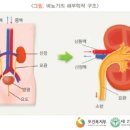 네이처비뇨의학과의원 이미지