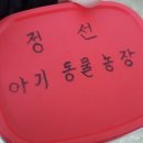 정선아기동물농장 이미지