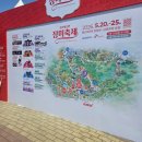 씨유 울산대공원동문점 | [축제] 2026 울산대공원 장미축제 : 미리 다녀온 후기! 개화현황, 준비물, 행사 일정 정리