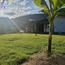 운일암 높은음자리 이미지