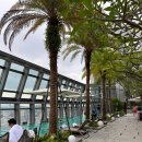 호텔 시저(CAESAR) 이미지