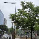 강변젓갈 | 토요일은 국회의사당역 나들이! 여의명가 들렸다가 강변서재로!