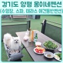 몽이네컷 | 양평 애견동반 몽이네펜션 수영장 개별테라스 스파 내돈내산 찐후기