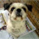 해미집 앞 이미지