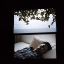 열병의 방 이미지