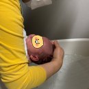 통미로41번길 | 마터케어 평택산후도우미 ㄱ ㅅㅇ 관리사님 이용후기