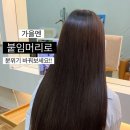 윤윤살롱