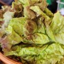 참나무숯불사우나 이미지