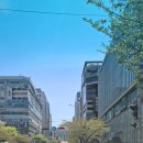 2호선 장산역 11번출구 이미지