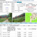 참고만 하세요. 낙찰받아준 양평땅1900평. 뒤에 맹지1500여평 다 죽었어!!!!! 이미지