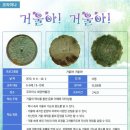 코리아나 화장박물관 Daum카페