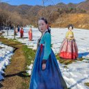 용천카 | 국내 조용한 여행지 용인대장금파크 입장료 투어카