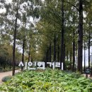 시인의 공원 | 🍂가을 산책, 난지도 하늘공원 아래 &#39;시인의 길&#39; 맨발 걷기 체험! (feat. 임시 개통 정보)