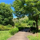 천곡천연동굴 | 동해 아이와 가볼만한 곳 도심 속 천연동굴 천곡황금박쥐동굴 주차 입장료 후기