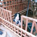 나라한농장 이미지