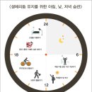 봄&봄 휘트니스 클럽 이미지