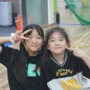 연세파워태권도 이미지