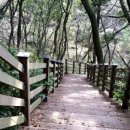 큰섬민박 이미지