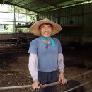 정영호농장 이미지