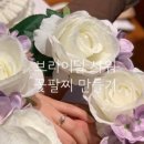 옐스커리 네이버블로그