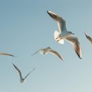 침사랑 한의원 이미지