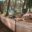 준1 | 강아지 캠핑 울타리 추천, 리드줄 스트레스 줄여준 하웃 펜스 베이직 1SET 후기