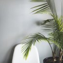 동일114공인중개사사무소 이미지