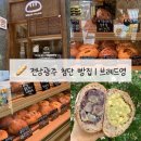 백쌀공주 | [광주 첨단 빵집] 첨단 빵지순례 브레드영 아리완두 공주통밤 구황작물빵
