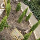 새선우목장 | [아기랑나들이] 화성 행복텃밭: 21갤 아들이랑 딸기텃밭 체험 &amp; 동물농장