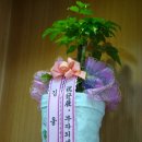조순희콜렉션
