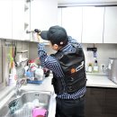 싹잡아방역