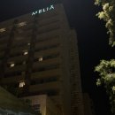 멜리아(melia) | 멜리아 세비야(Melia Sevilla) : 트윈베드룸 조식 포함 3박 후기 (마이리얼트립 쿠폰 포함)