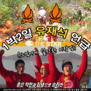 하와이장 이미지