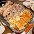 찐돈돼지 이미지