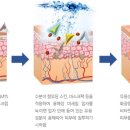 파이안메디 네이버블로그