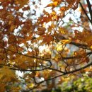 브오자동차정비 이미지