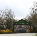 홈브리지 캐빈호스텔 이미지