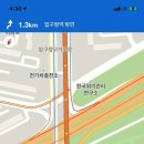 블리스독 이미지